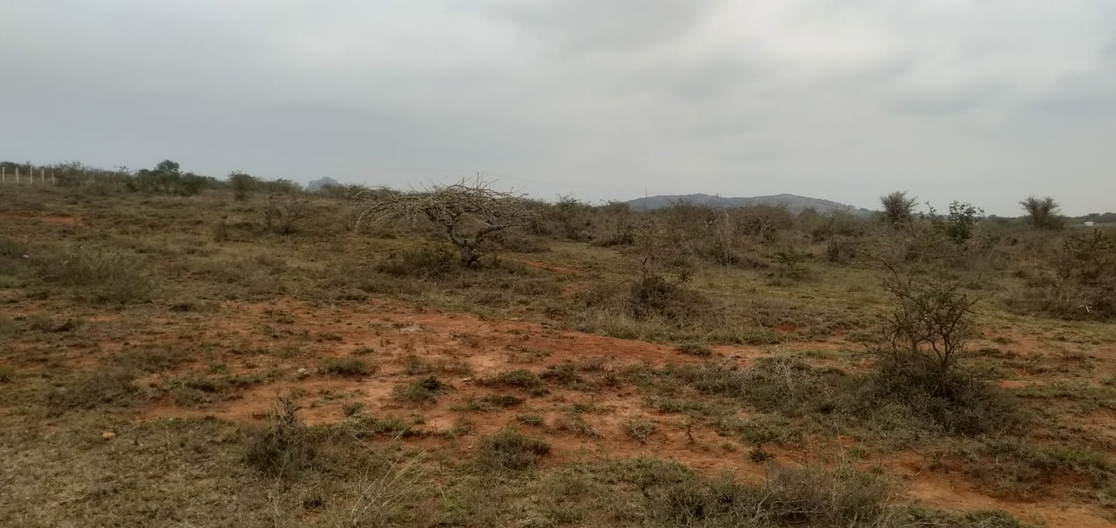 0 acre, 50 by 100 feet Land For Sale in Katani near NSSF staff estates, Machakos Photos