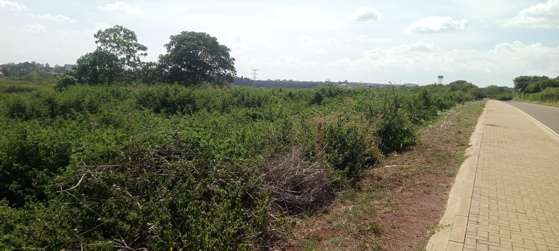 10 acre Land For Sale  each acre going for 120 Million in Tatu City, Kiambu Image